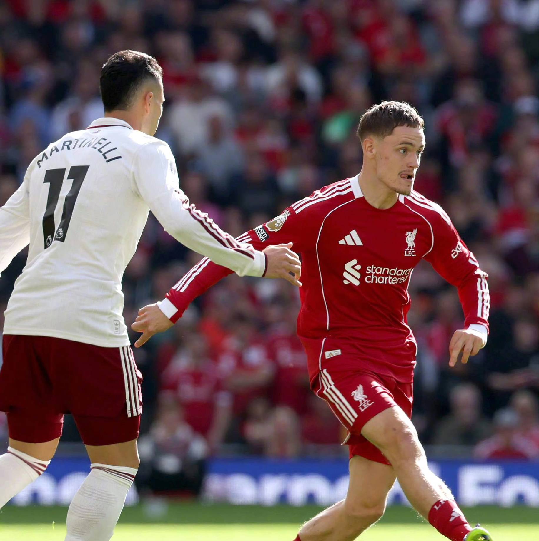 期待已久的 期待已久的